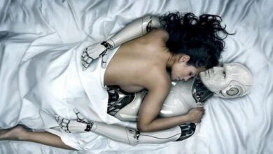 Robos sexuais irao substituir os homens ate 2025