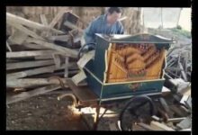 Smooth Criminal (Michael jackson) tocada em um realejo 28 smooth criminal michael jackson