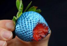 como as pessoas daltonicas veem