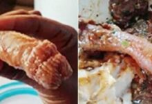 cliente encontra penis humano em sopa