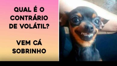 piadas curtas pra animar seu dia