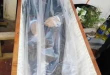 bizarro medico irmao morto