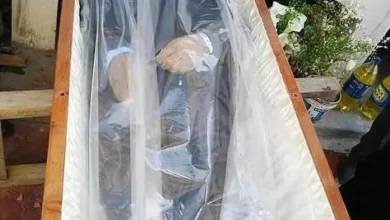 bizarro medico irmao morto