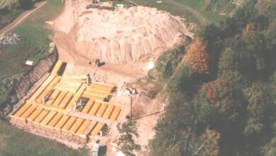 noticias doidas abrigo 1