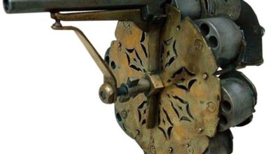 oloxa armas apreendidas