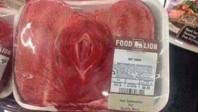 oloxa ponto de vista