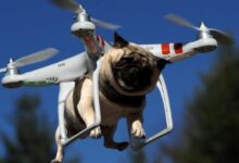 oloxa tudo e possivel