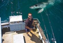 oloxa fundos de fotos 7