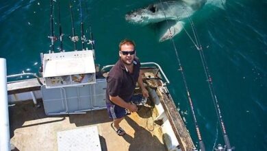 oloxa fundos de fotos 7