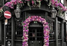 oloxa casa com plantas 1