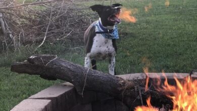 oloxa moemtos exatos 13