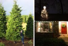 oloxa pessoas exageradas 6