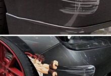 Oloxa ideias do futuro 6