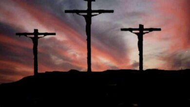 oloxa formas de morrer 5