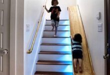 oloxa coisas para sua casa 1