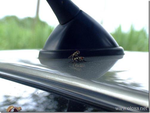 000a01c982ed$7e044980$efc019bd64