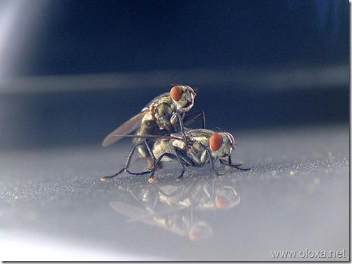 000b01c982ed$7e044980$efc019bd55