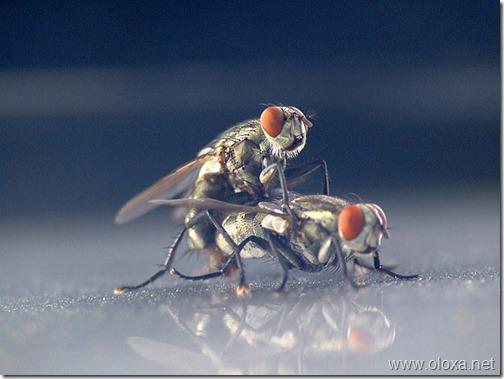 000c01c982ed$7e044980$efc019bd46