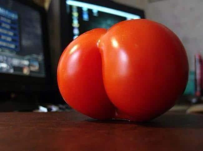 16 Segredos sobre a bunda que você não sabia 22 segredos sobre a bunda