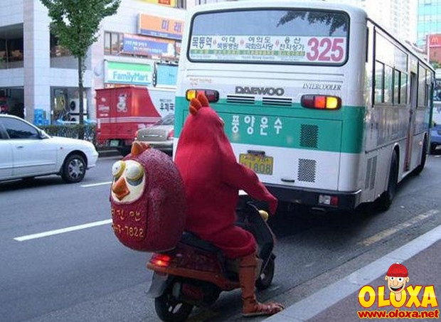 1A822596 1A822596