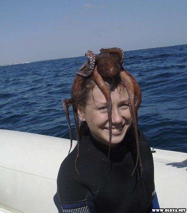 1 as melhores fotos da semana 12