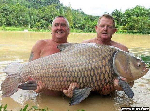 1 as melhores fotos da semana 15