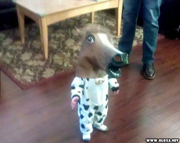 1 as melhores fotos da semana 2