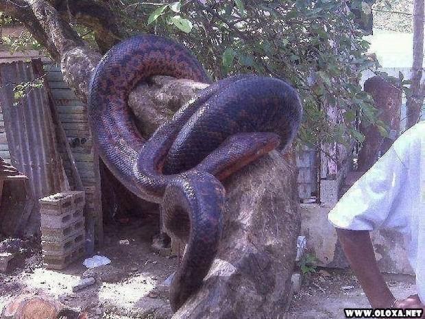 1 as melhores fotos da semana 3