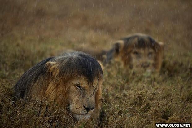 1 as melhores fotos da semana 5