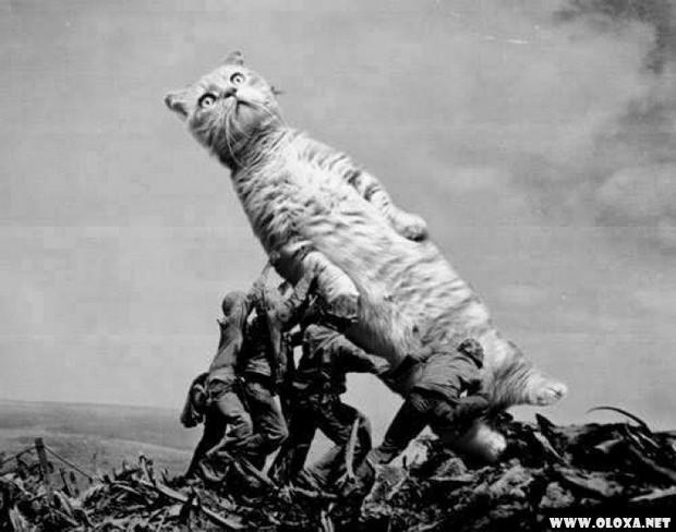 1 as melhores fotos da semana 7