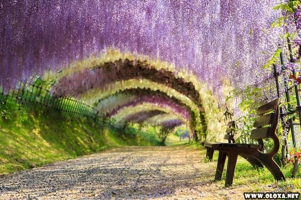 20 lugares reais que se parecem com um conto de fadas (3)