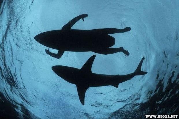 2 as melhores fotos da semana 10