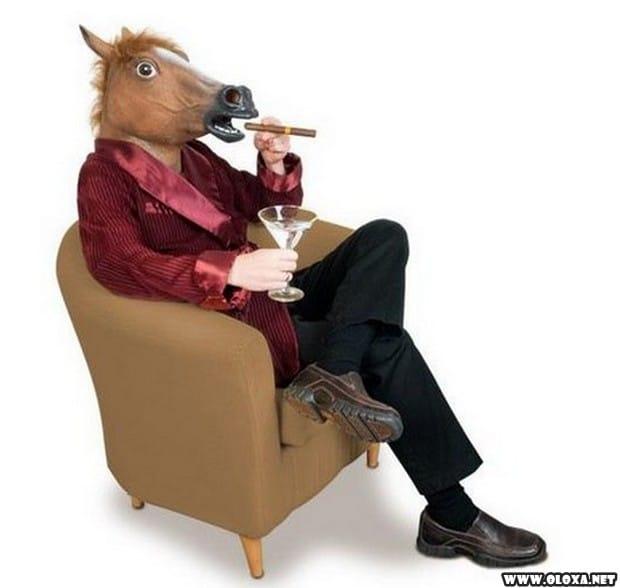 2 as melhores fotos da semana 19