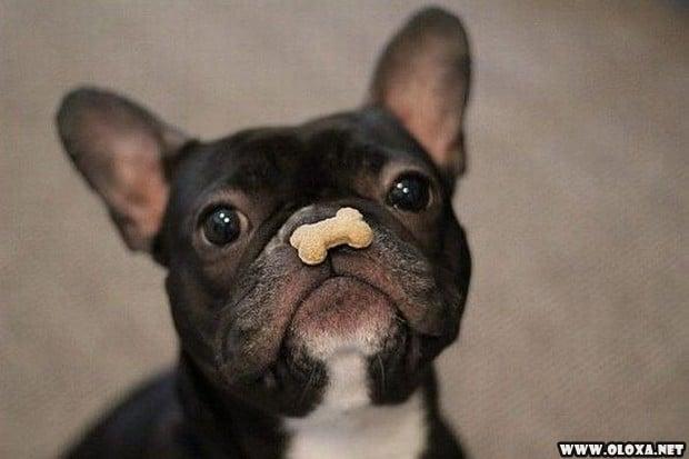 2 as melhores fotos da semana 8