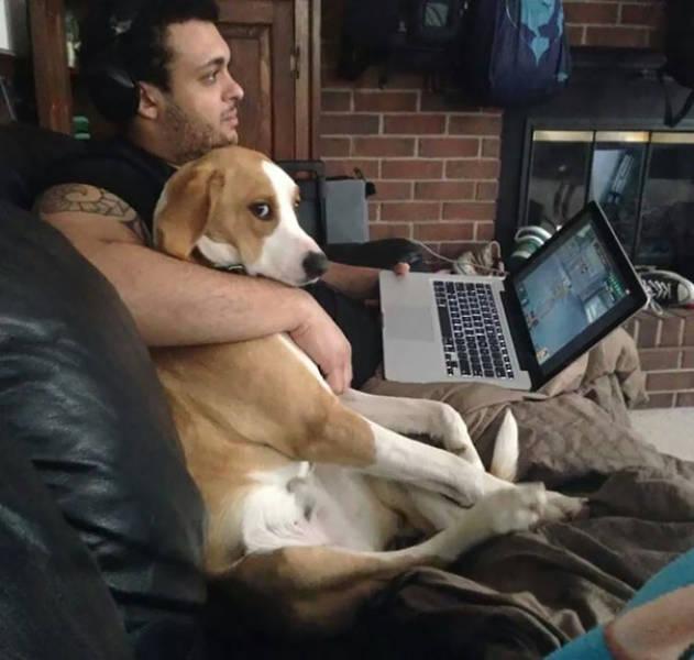 Fotos de casais que perderam o parceira para o seus bichanos 35 3 1