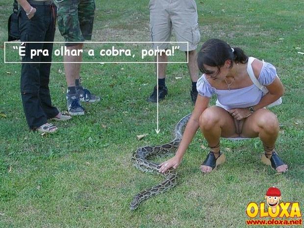 Foco na cobra. A de escamas. Por favor.