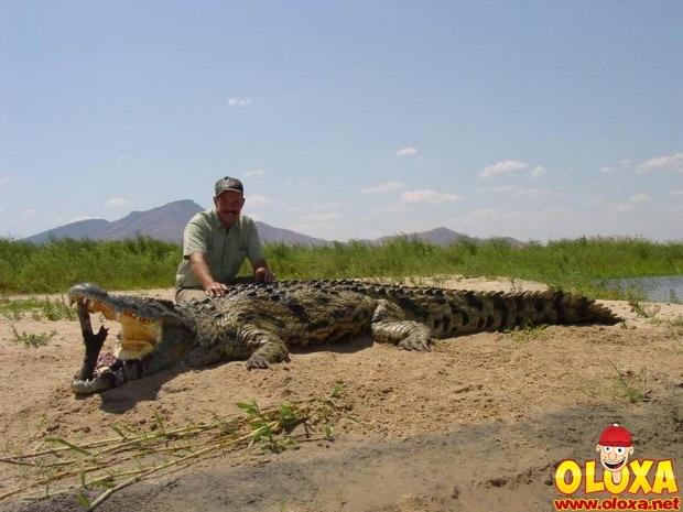 Não é lenda urbana. É real. E perturbador.