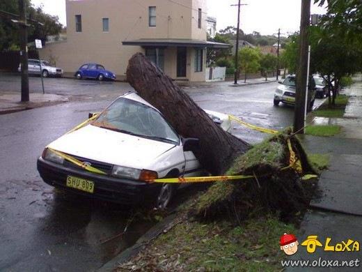 Acidentes incriveis (21)