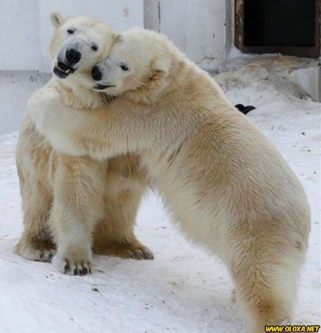Amor na natureza Oloxa 21