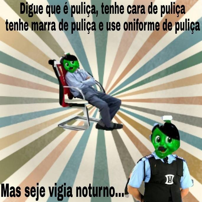 As 50 melhores dicas do dollynho 14