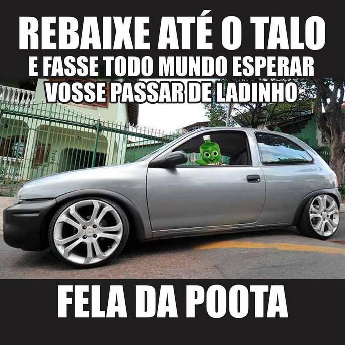 As 50 melhores dicas do dollynho 18