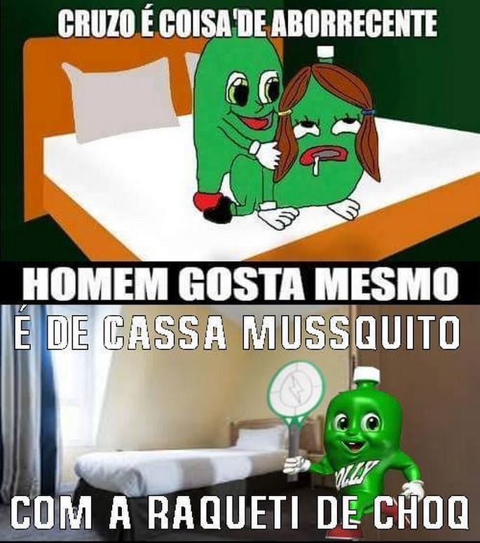 As 50 melhores dicas do dollynho 2