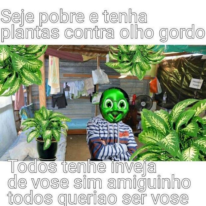 As 50 melhores dicas do dollynho 21