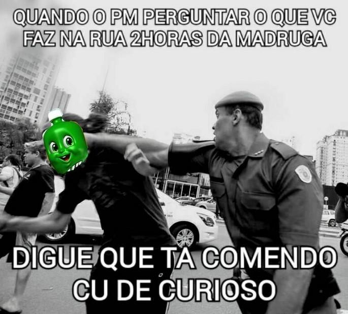 As 50 melhores dicas do dollynho 28