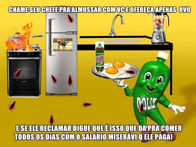 As 50 melhores dicas do dollynho 33