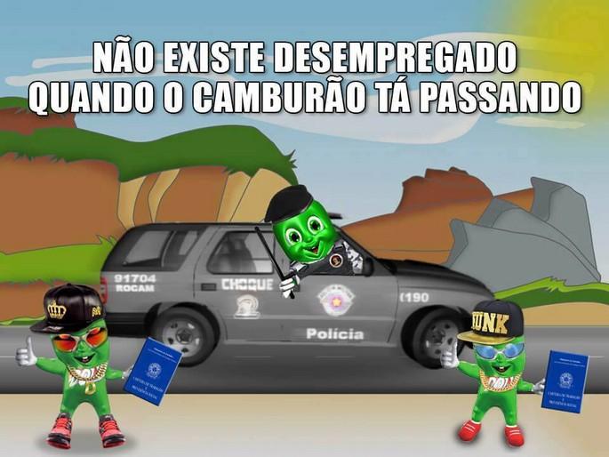 As 50 melhores dicas do dollynho 37