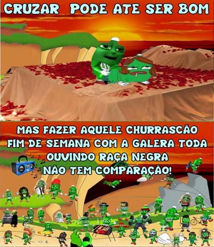 As 50 melhores dicas do dollynho 47