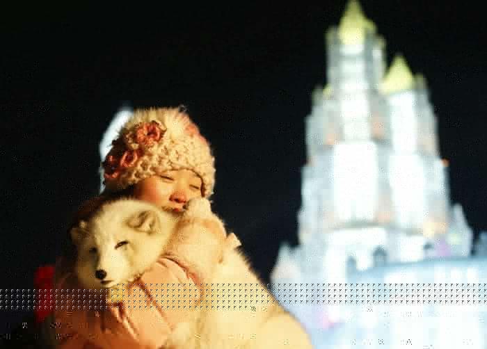 As esculturas surpreendentes do 2015 Harbin Ice E Festival de Neve (18)