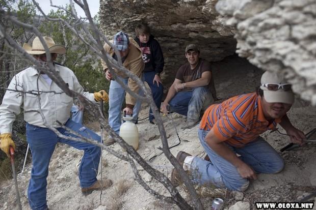 BIZARRO Americanos consomem milhares de cascaveis em festival 7