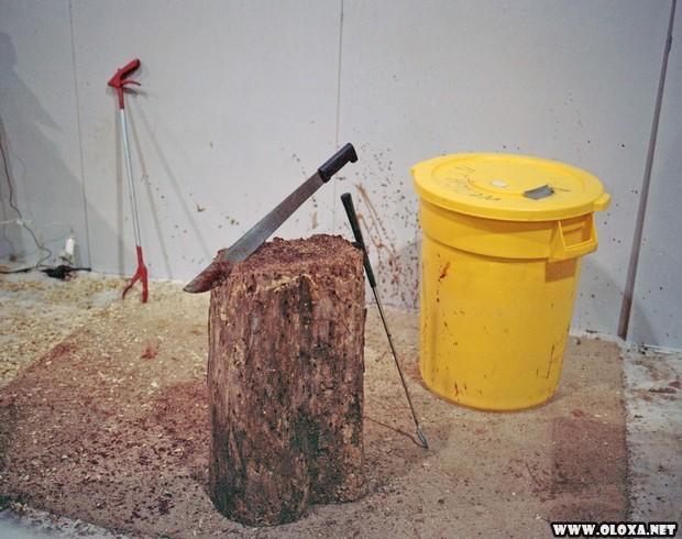 BIZARRO Americanos consomem milhares de cascaveis em festival 8